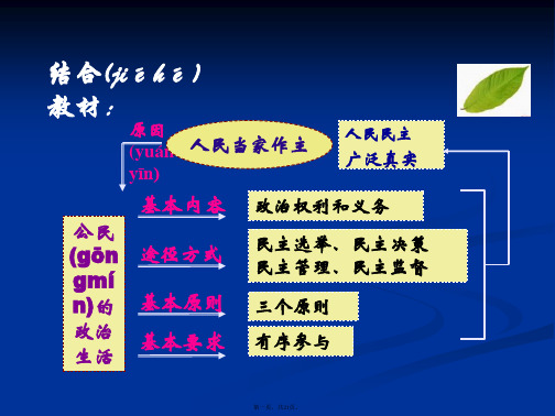 高一政治课件综合探究有序与无序的政治参与新必修2