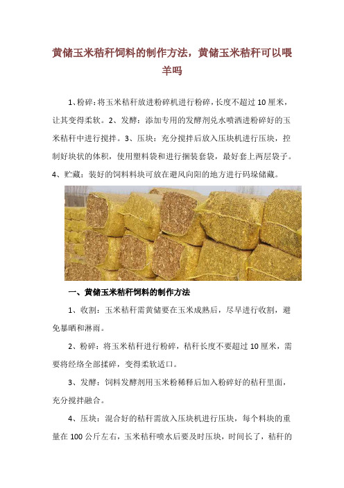 黄储玉米秸秆饲料的制作方法,黄储玉米秸秆可以喂羊吗