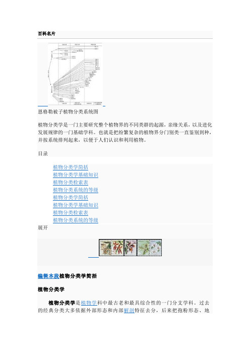 植物分类学百科