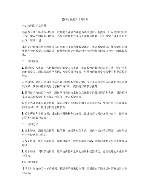 老师专业成长培训计划