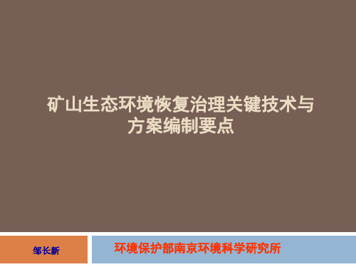 矿山生态环境恢复治理关键技术与方案编制要点