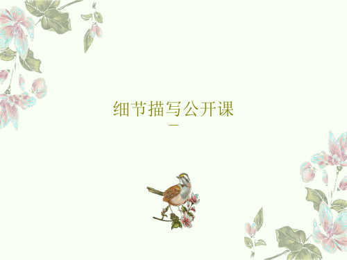 细节描写公开课共27页PPT