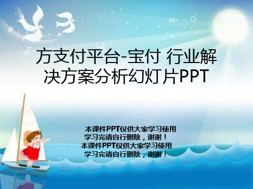 方支付平台-宝付 行业解决方案分析幻灯片PPT