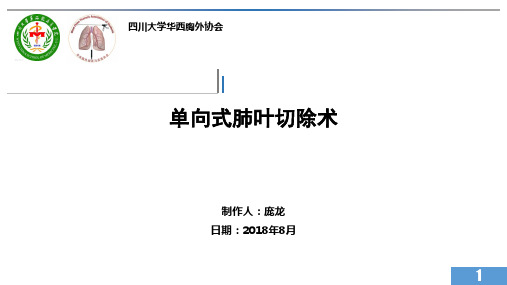 肺叶切除详解,单向式-庞龙