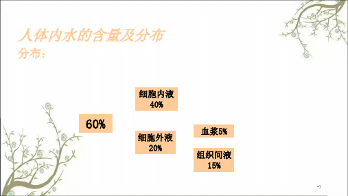 人体对水的需要课件