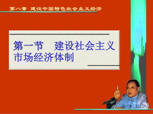 10 中国特色社会主义经济