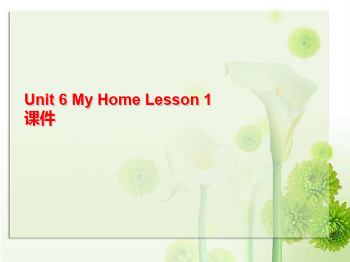 人教版新起点三年级下册Unit 6 My Home Lesson 1 课件 3