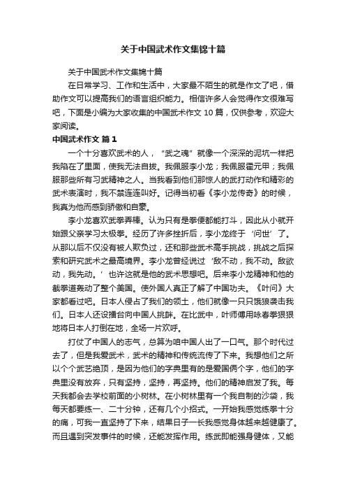 关于中国武术作文集锦十篇