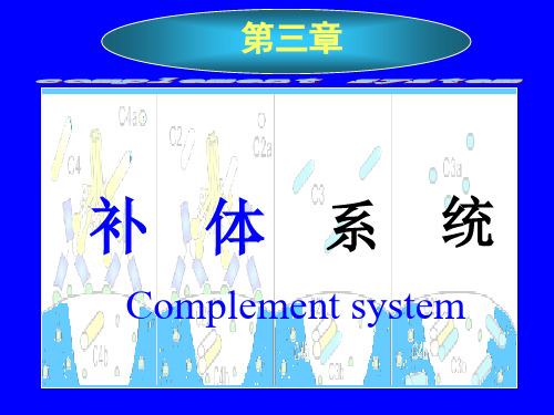 微生物学与免疫学——3补体ppt课件