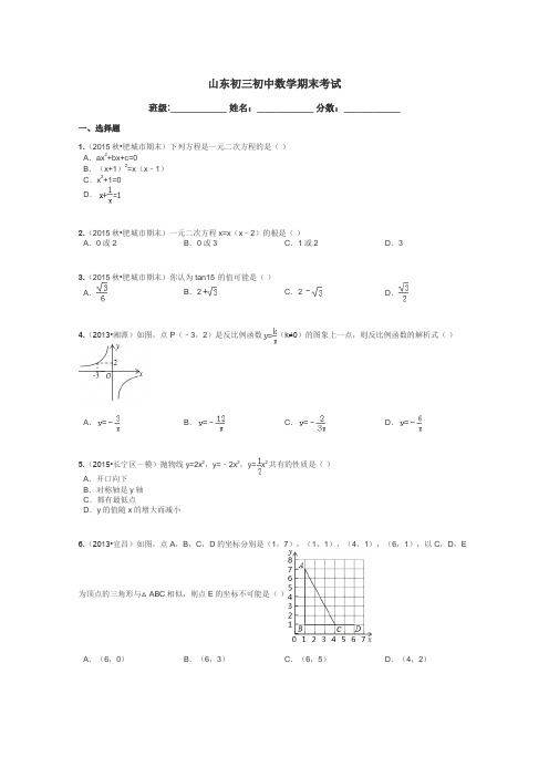 山东初三初中数学期末考试带答案解析
