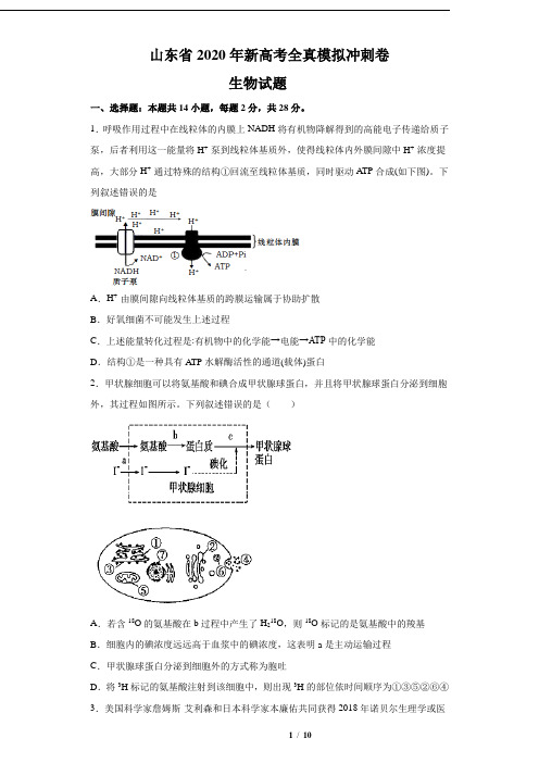 山东省2020年新高考全真模拟冲刺卷 生物试题01(原卷版)