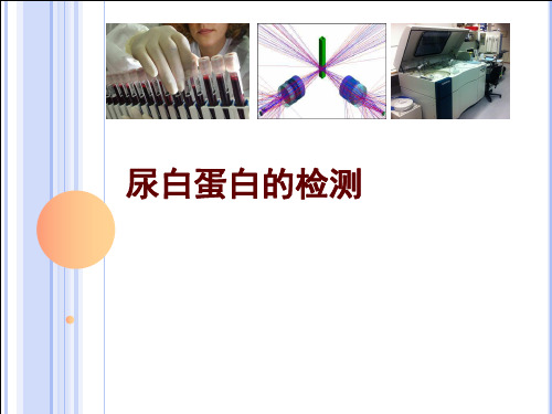 7.6尿白蛋白的检测