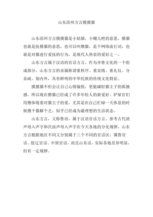 山东滨州方言摸摸猫