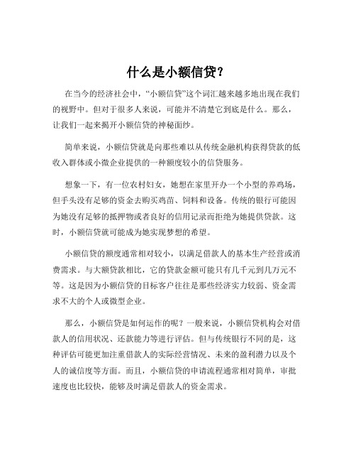 什么是小额信贷？