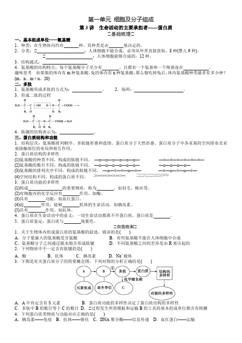 第3讲 生命活动的主要承担者——蛋白质