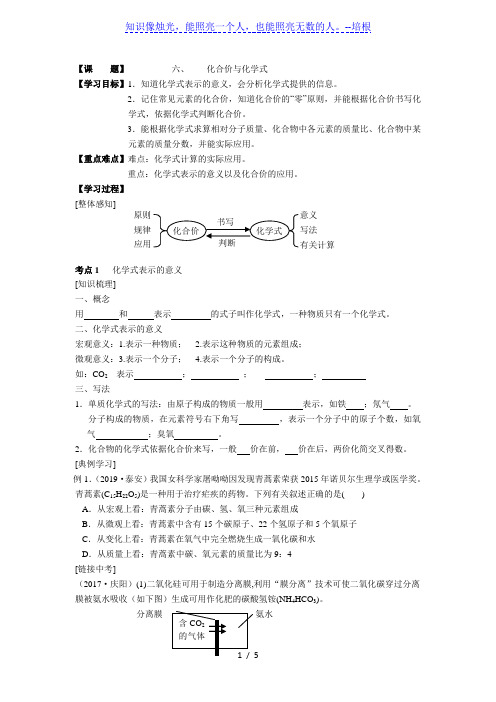 六 化合价与化学式-山东省滨州市2020年中考化学(鲁教版)复习学案