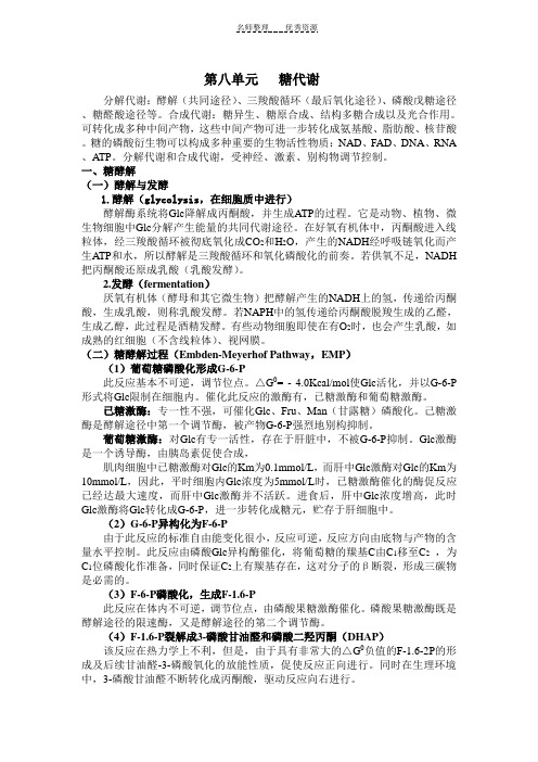 知识要点 第八单元 糖代谢