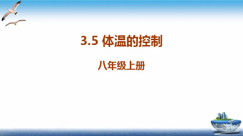 3.5体温的控制—浙教版八年级科学上册课件