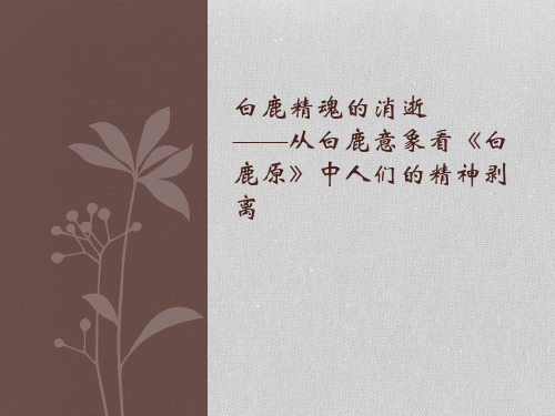 白鹿原 课件