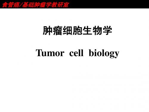 肿瘤细胞生物学1-2