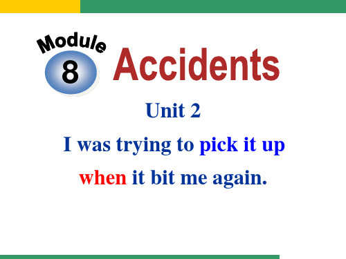 《I was trying to pick it up when it bite me again》