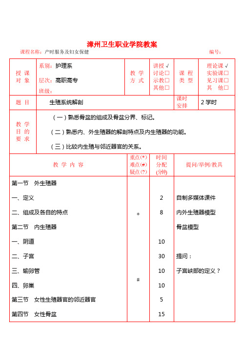 生殖系统解剖