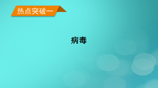 (新高考适用)2023版高考生物二轮总复习 热点突破1 病毒课件