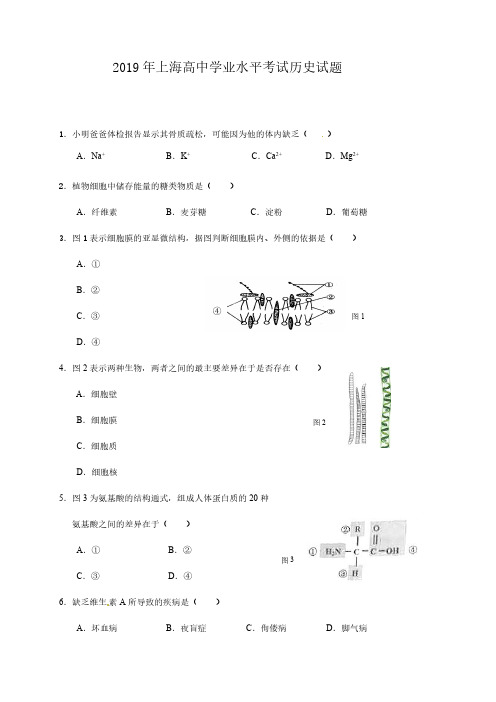 2019年上海高中学业水平合格考试生物试题