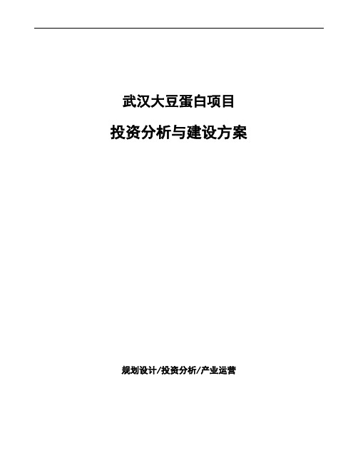 武汉大豆蛋白项目投资分析与建设方案