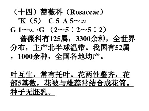 《植物学》蔷薇科