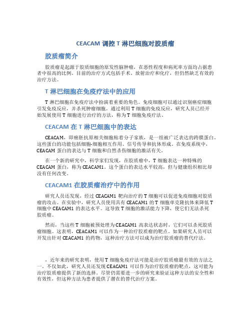 CEACAM调控T淋巴细胞对胶质瘤