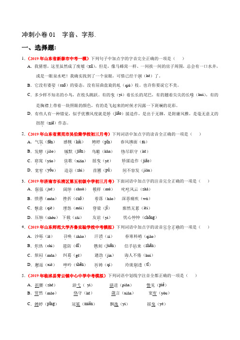 字音、字形-2020年 中考·语文 最新模考 (山东版)(原卷版)