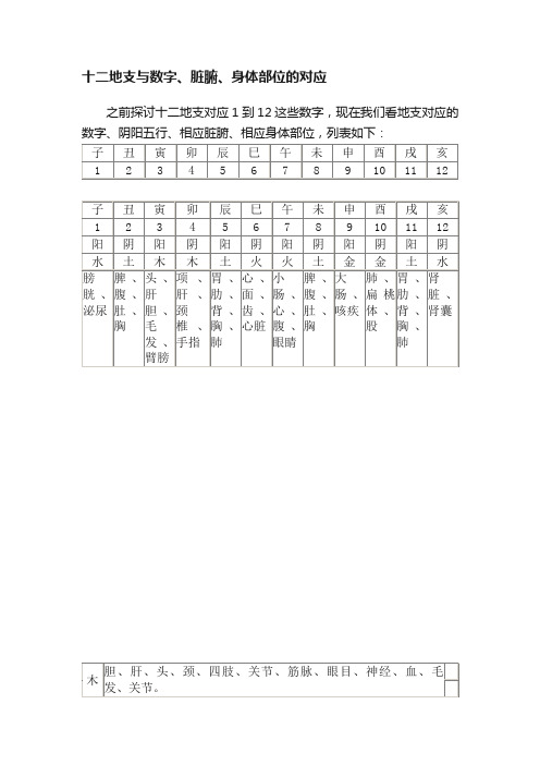 十二地支与数字、脏腑、身体部位的对应