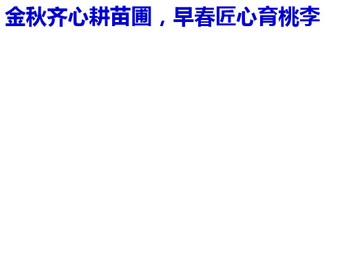 中考道德与法治备考经验介绍