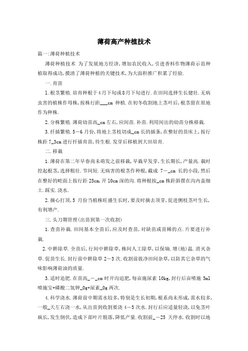薄荷高产种植技术