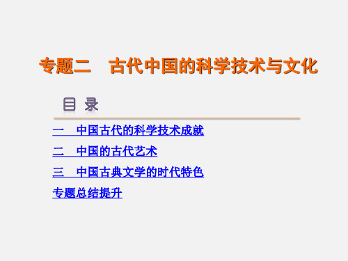 高考历史 专题二 古代中国的科学技术与文化 人民必修3