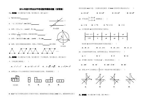 2016年初中学业水平考试数学模拟试题(含答案)