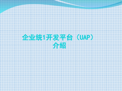 企业级统一开发平台解决方案