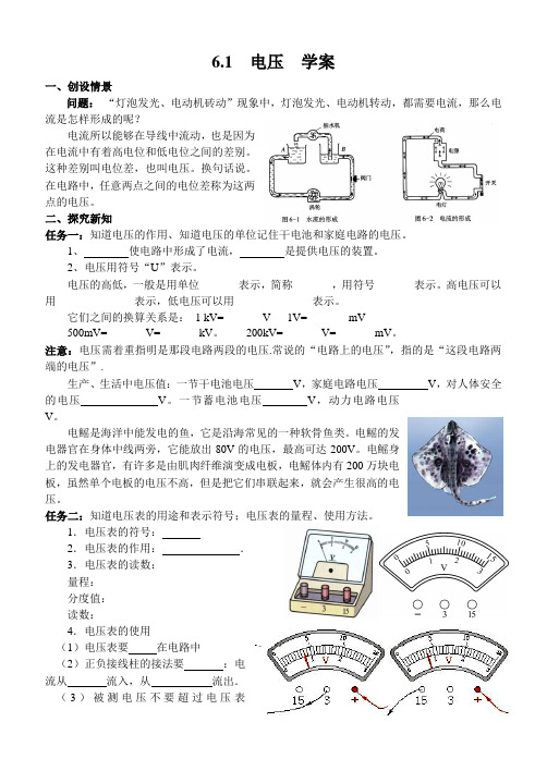 6.1电压学案