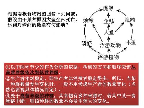 生态系统的能量流动