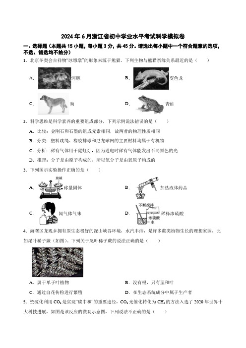 2024年浙江省初中学业水平考试科学模拟练习卷