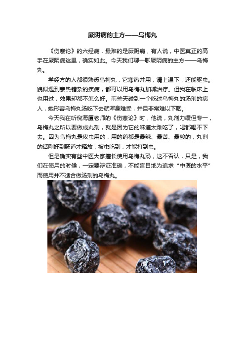 厥阴病的主方——乌梅丸