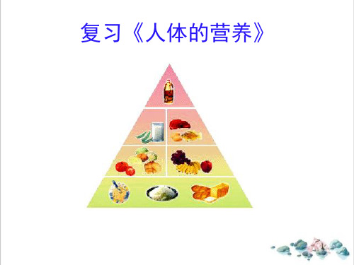 课件_人教版七年级生物下《人体的营养》复习PPTppt_精选