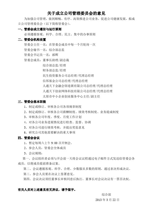 关于成立公司管理委员会的意见