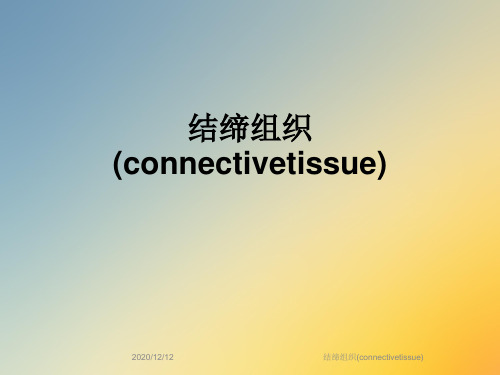 结缔组织(connectivetissue)