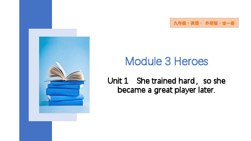 Module3Unit1课件九年级英语上册(1)