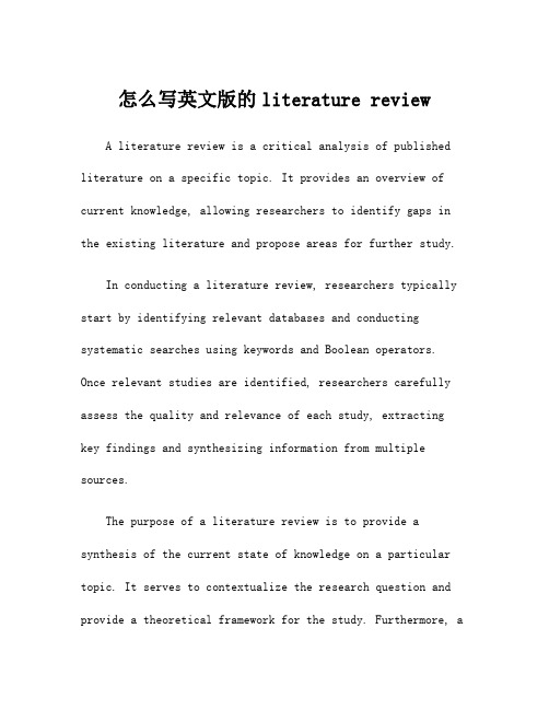 怎么写英文版的literature review