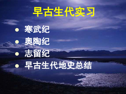 实习13 早古生代地史实习