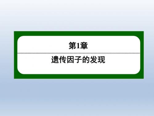 《红对勾·45分钟作业与单元评估》2014-2015学年高一生物人教版必修二配套课件第1章遗传因子的发现1-2