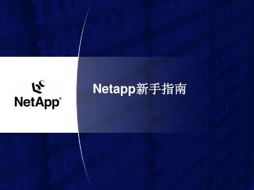 netapp_新手指南